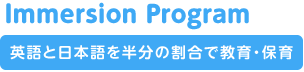 Immersion Program